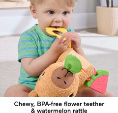 Fisher-Price Snuggly Snacky Capybara Plush Sensory Toy – Baby Teether, Rattle & Activity Soft Toy