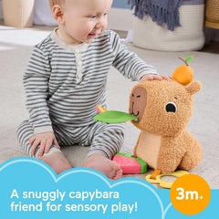 Fisher-Price Snuggly Snacky Capybara Plush Sensory Toy – Baby Teether, Rattle & Activity Soft Toy