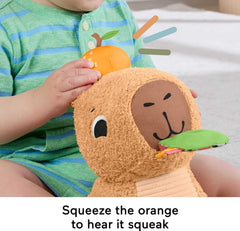 Fisher-Price Snuggly Snacky Capybara Plush Sensory Toy – Baby Teether, Rattle & Activity Soft Toy